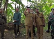 Pjs Bupati Tasikmalaya Tinjau Lokasi Pergerakan Tanah di Gunungtanjung